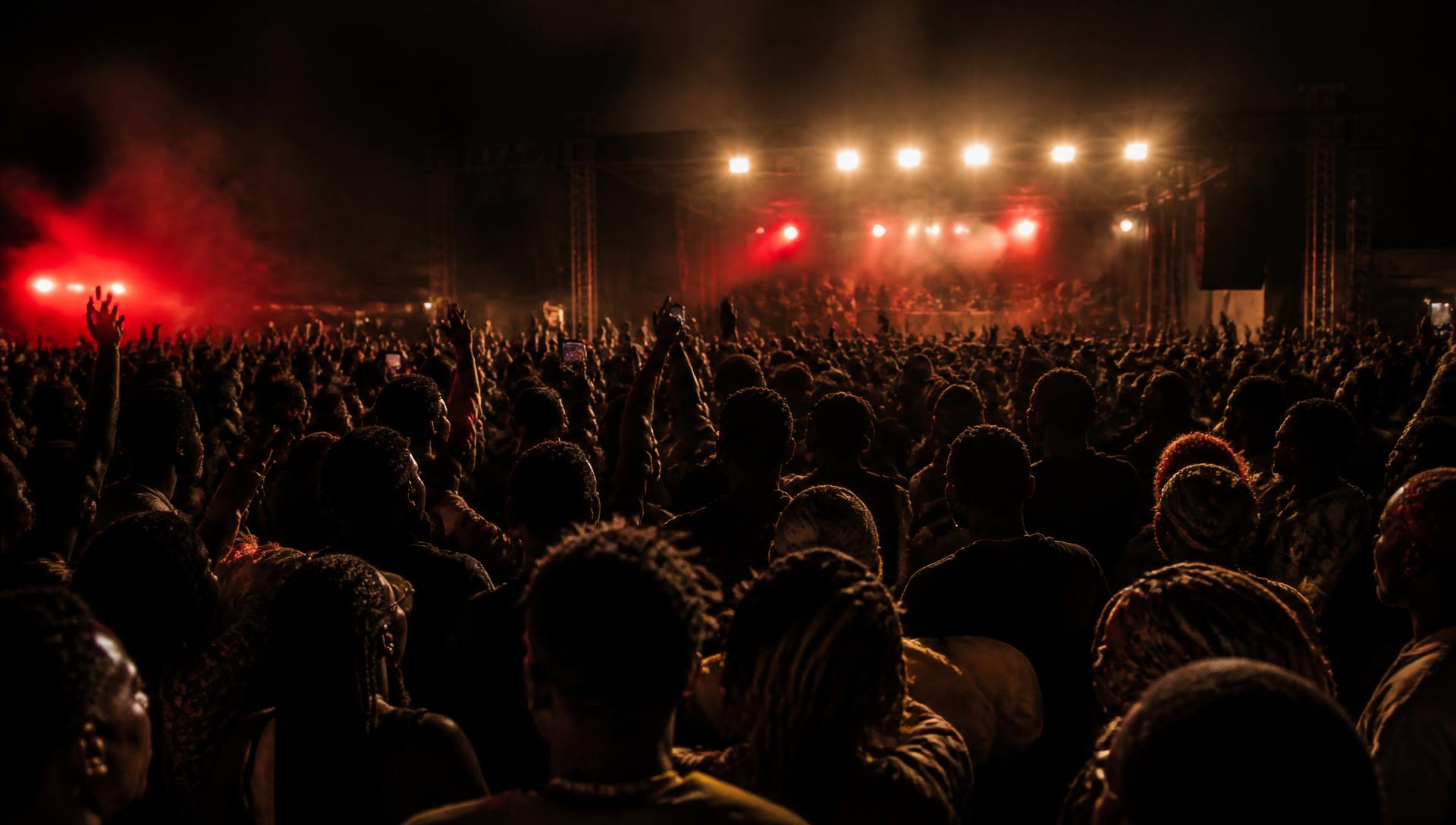 Crowd with hands raised at an African-inspired concert in Canada